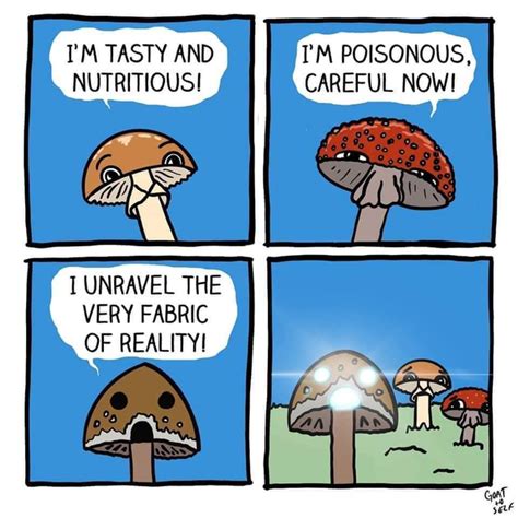 magic mushroom memes|poison mushroom meme.